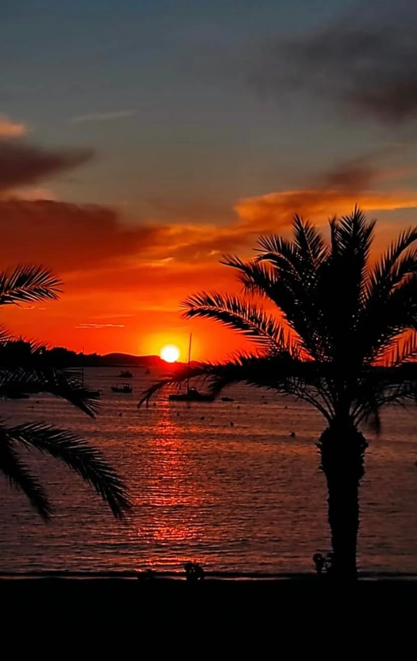 Sunset Ibiza