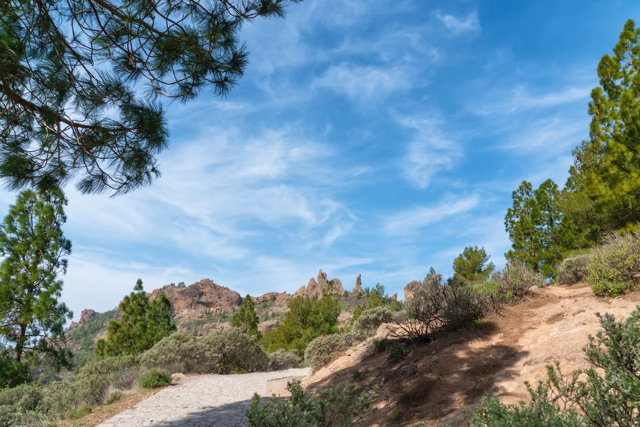 Hiking and Nature Walks in Ibiza